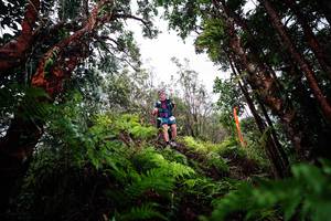 BIB: 
                            <button type="button" onclick="openModal(26204163)" class="btn btn-primary btn-sm float-right btn-popup" data-toggle="modal" data-target=".modal-high-quality">
                        <i class="fas fa-shopping-cart"></i> Add to Cart
                    </button>
                                            <button type="button" onclick="isThisMe(26204163, true)" class="btn btn-success btn-sm float-right btn-popup btn-isme hidden" data-toggle="tooltip" data-placement="bottom" title="นี่คือรูปของคุณใช่ไหม คลิกที่นี่เพื่อเอาเข้าอัลบั้ม">
                        <i class="fas fa-plus"></i> Add to album
                    </button>
                    <button type="button" onclick="isThisMe(26204163, false)" class="btn btn-warning btn-sm float-right btn-popup btn-isnotme hidden">
                        <i class="fas fa-ban"></i> Remove from album
                    </button>